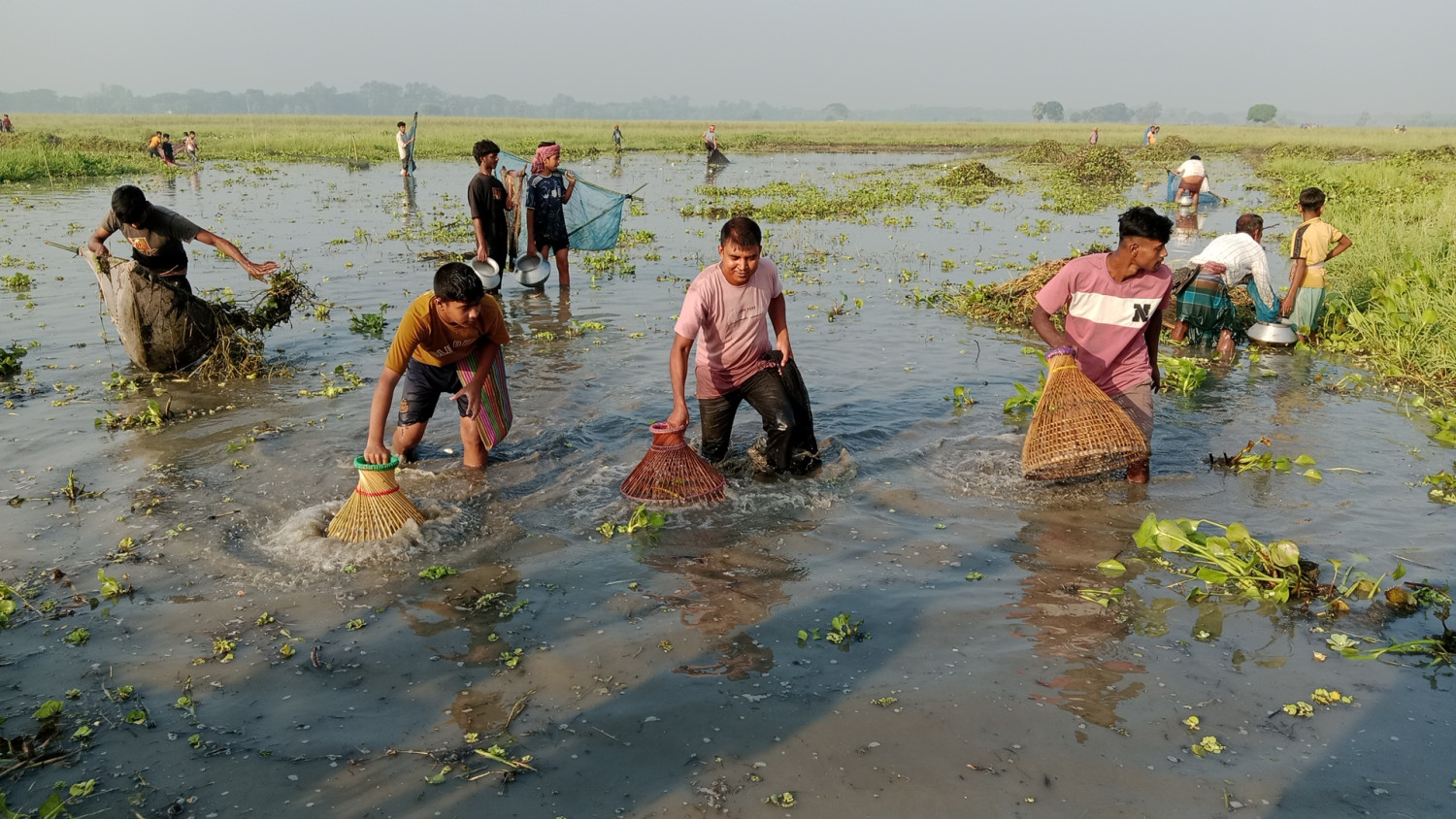 বোয়ালমারীর দাদুড়িয়া বিলে হারিয়ে যাওয়া ঐতিহ্য ‘পলো বাওয়া’ উৎসব, আনন্দের আড়ালে মাছ না পাওয়ার হতাশা-  চায়না দুয়ারি জালের দাপটে দেশীয় মাছের সংকট, ঐতিহ্য হারানোর শঙ্কা