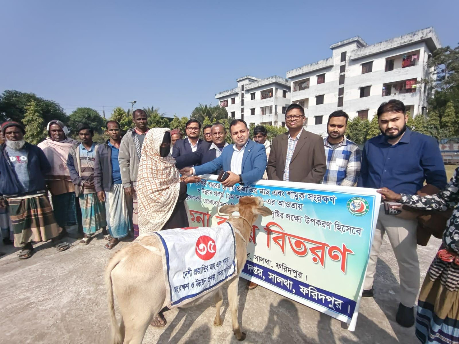 সালথায় দেশীয় প্রজাতির মাছ ও শামুক রক্ষায়  জেলেদের মাঝে বকনা বাছুর বিতরণ