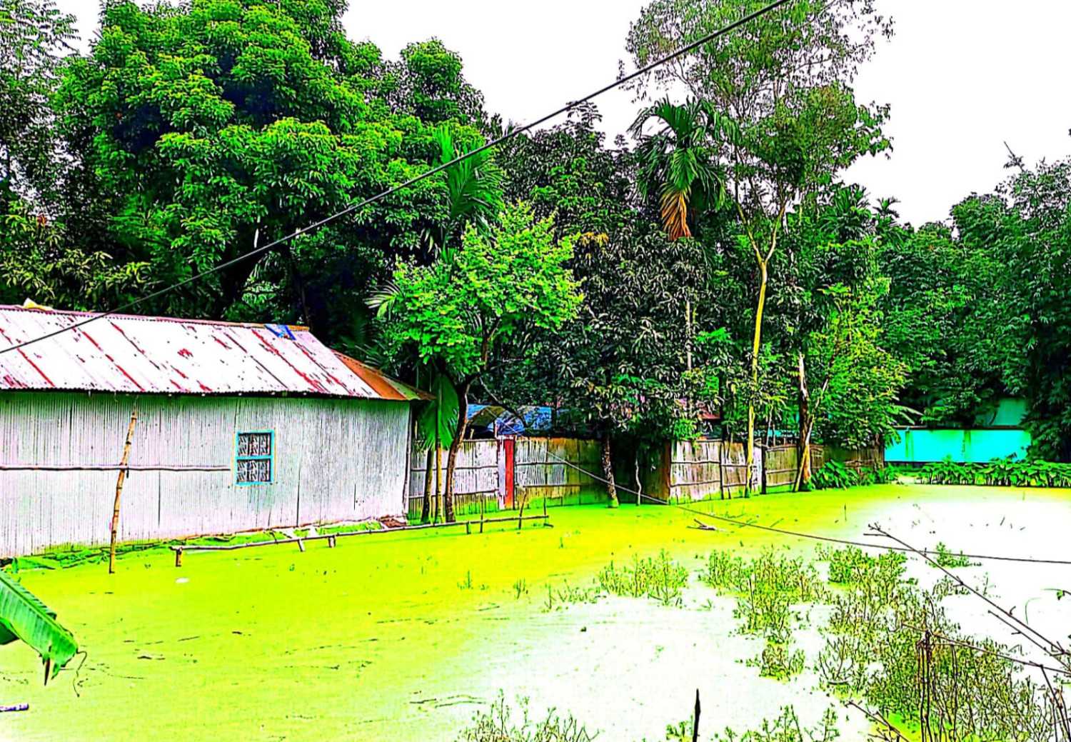 কাউনিয়ায় পানি নিষ্কাশনের পাইপ ভরাটের অভিযোগ: জলাবদ্ধতায় দুর্ভোগে কয়েকটি পরিবার