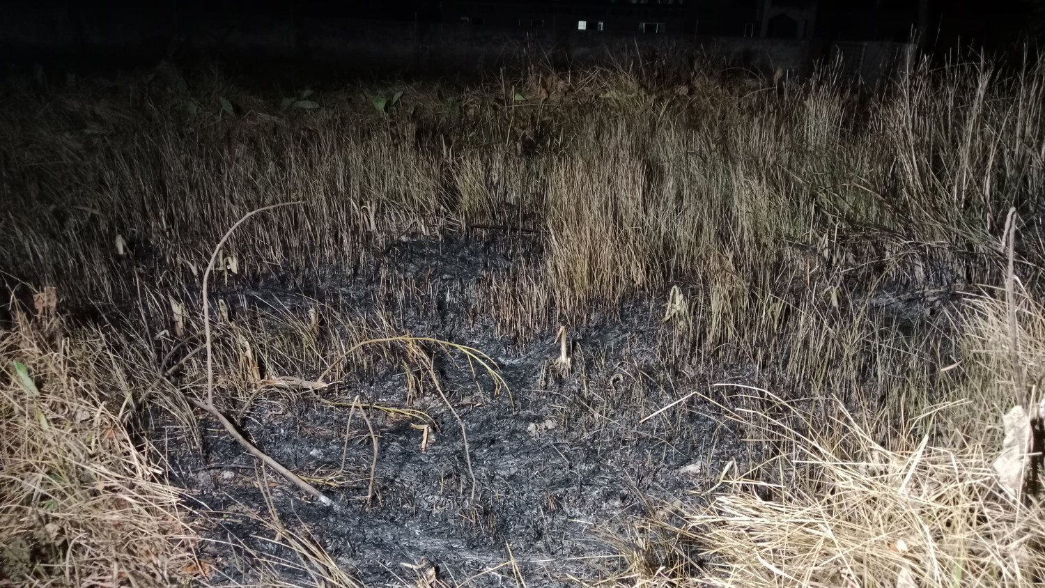 আলফাডাঙ্গায় ভীমরুলের চাক পোড়াতে গিয়ে কবরস্থানের ছন ও আবর্জনায় আগুন, সামাজিক মাধ্যমে গুজব ছড়ানোর অভিযোগ